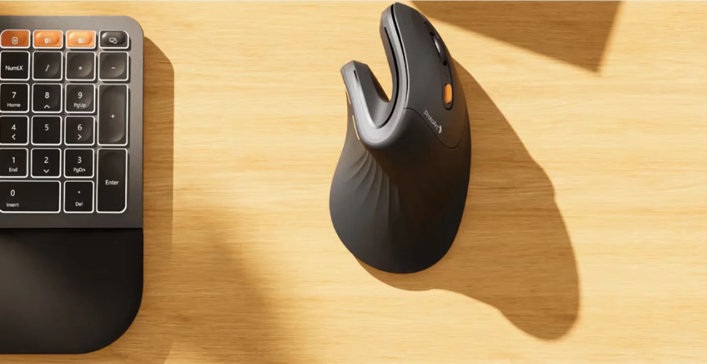 Ratones Ergonómicos