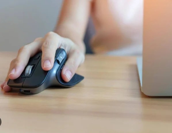 Ratones Ergonómicos