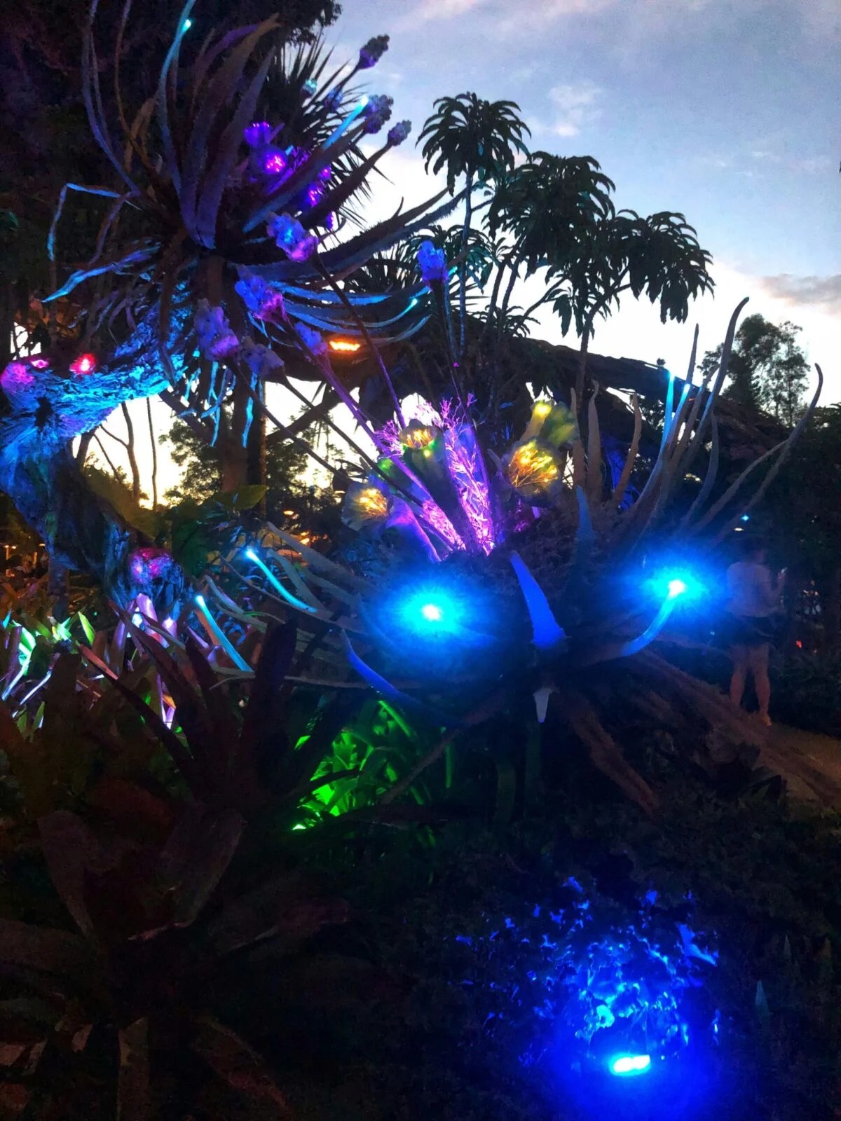 Los Sistemas de Iluminación Inteligente para Jardín más Espectaculares y Eficientes