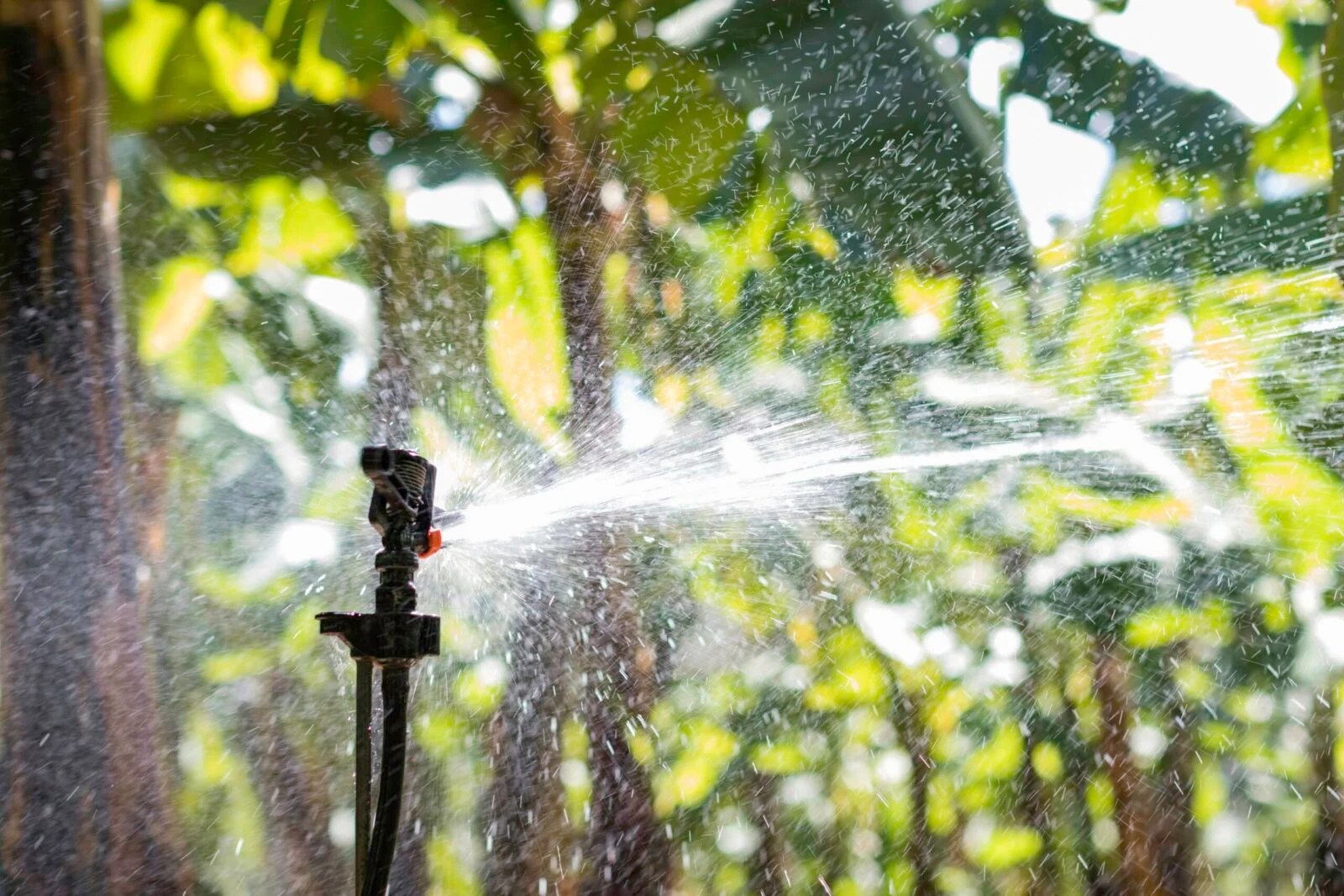 Los Mejores Sistemas de Riego Inteligente para Mantener Tu Jardín Perfecto Sin Esfuerzo